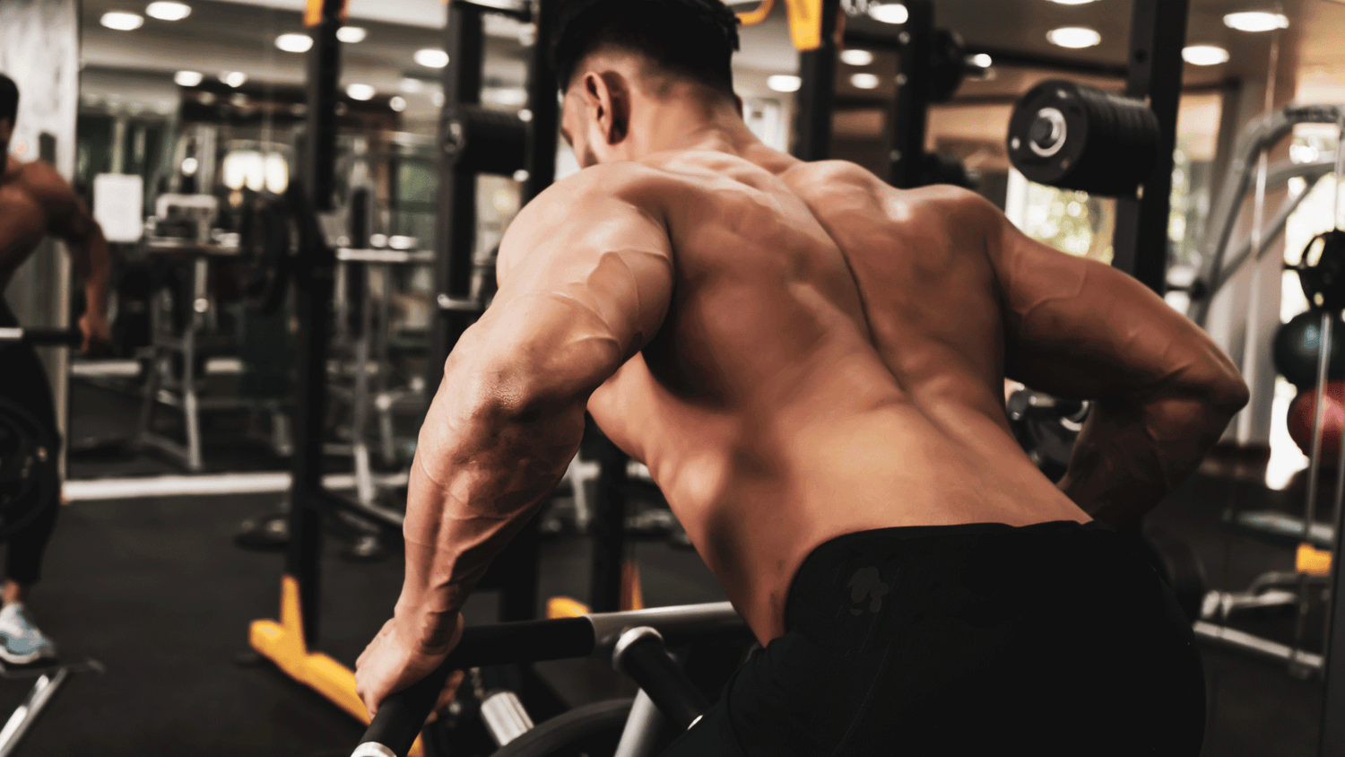 Build a Strong Back with the T-Bar Attachment