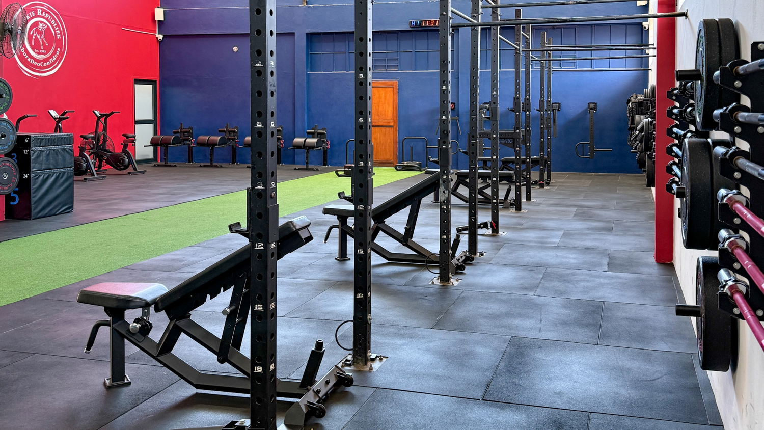 5 Benefits of Installing a Fitness Rig in Your Gym