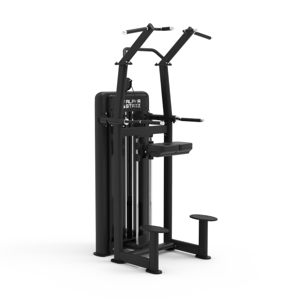 Standing Assisted Chin/Dip - Nemesis Series Dual Function