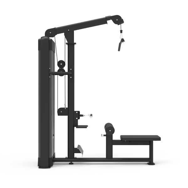 Lat Pulldown/Low Row - Nemesis Series Dual Function