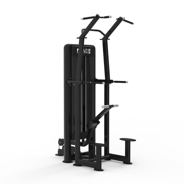 Standing Assisted Chin/Dip - Nemesis Series