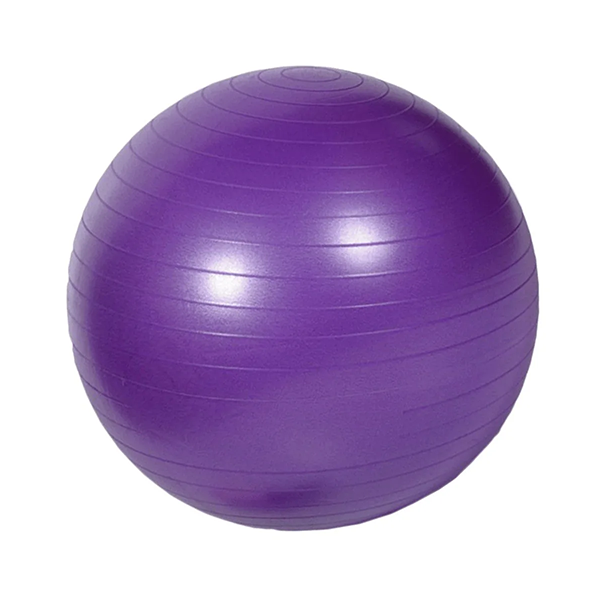 Functional Equipment | Purple Gym Ball | Gym Concepts